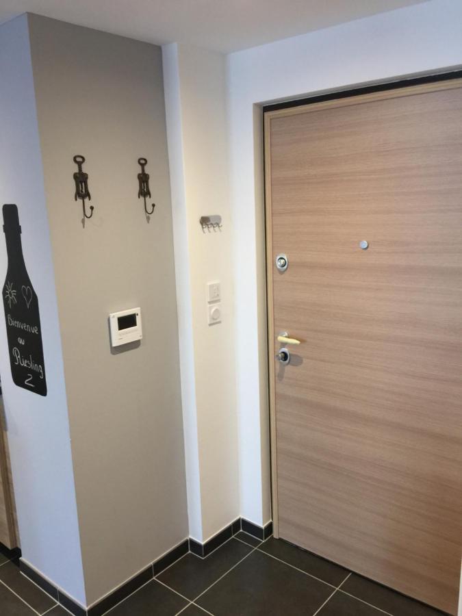 Le Riesling Colmar Centre Charmant Appartement Avec Terrasse Et Parking Gratuit Exteriör bild